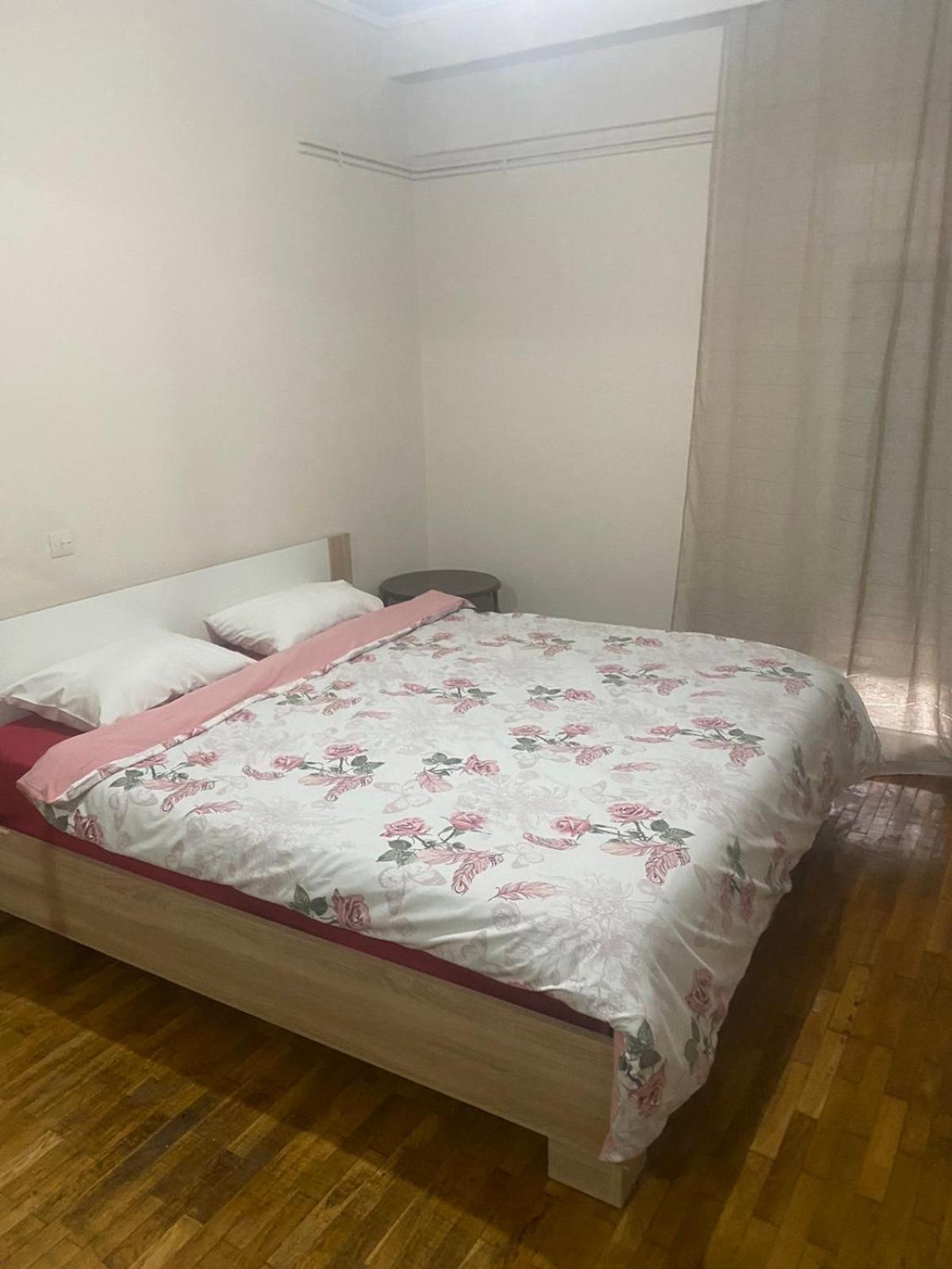 Mp Appartement Tríkala エクステリア 写真